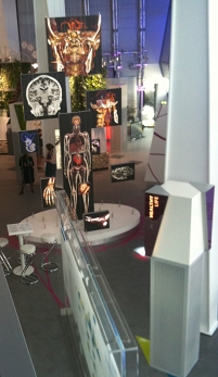 © Robert Rotifer Ausstellungsobjekt menschlicher Körper